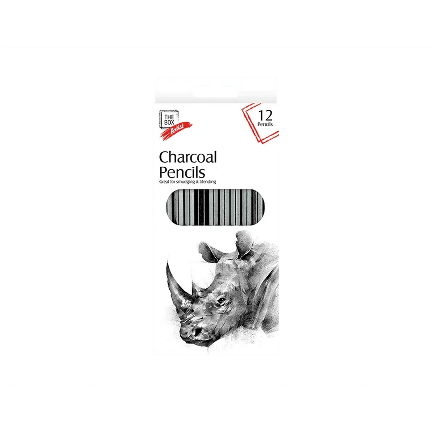 Charcoal Pencils 12 Pack - Kids Party Craft