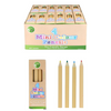 Eco-Friendly Mini Colouring Pencils (4pcs)