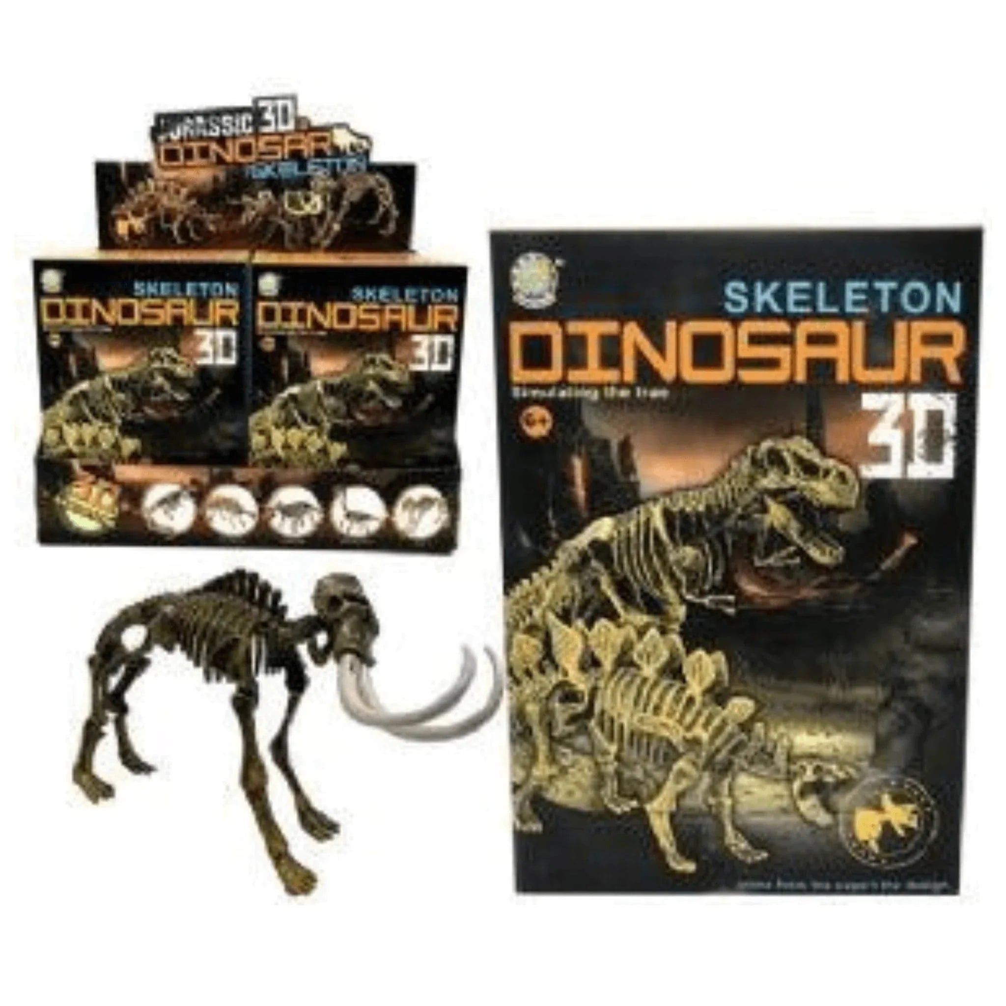 Dinosaur Skeleton Boxed 20x14cm - Kids Party Craft