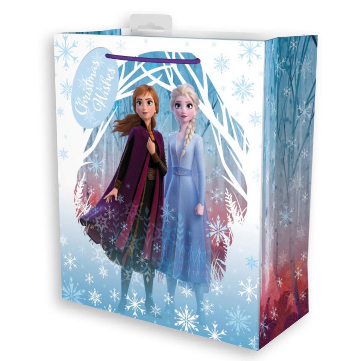 Disney Frozen Large Gift Bag - Kids Party Craft