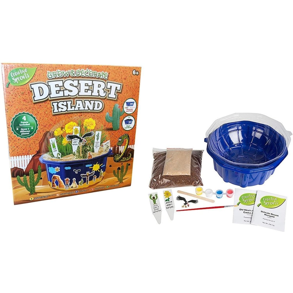 Grow and Paint Your Own Desert Island Garden - Kids Party Craft