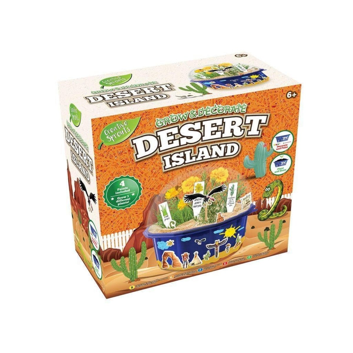 Grow and Paint Your Own Desert Island Garden - Kids Party Craft