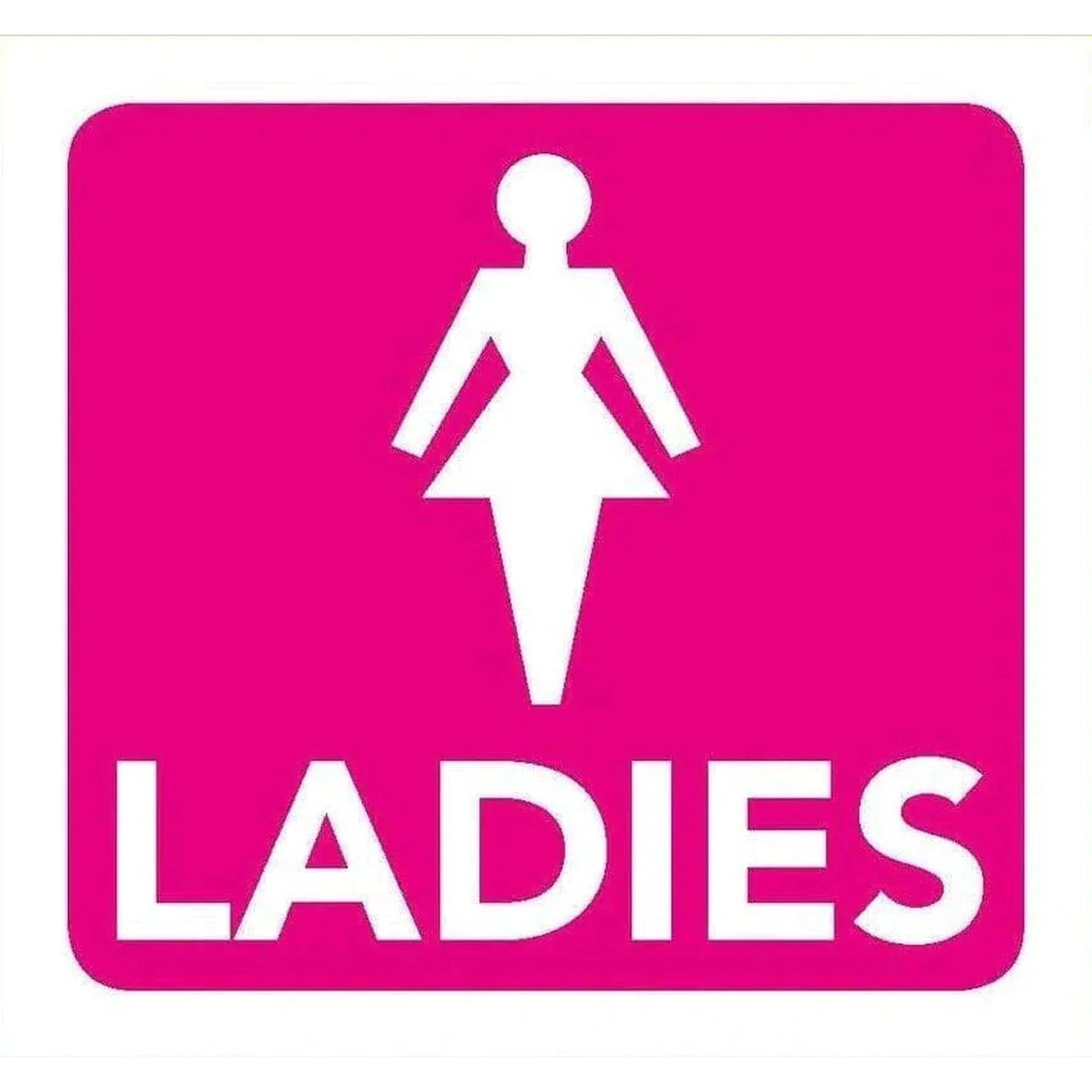 Ladies Toilet Information Sign 8cm x 8cm - Kids Party Craft