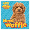 Meet Waffle Storybook - Kids Party Craft