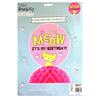 Meow Kitty Honeycomb Table Centre Piece - Kids Party Craft