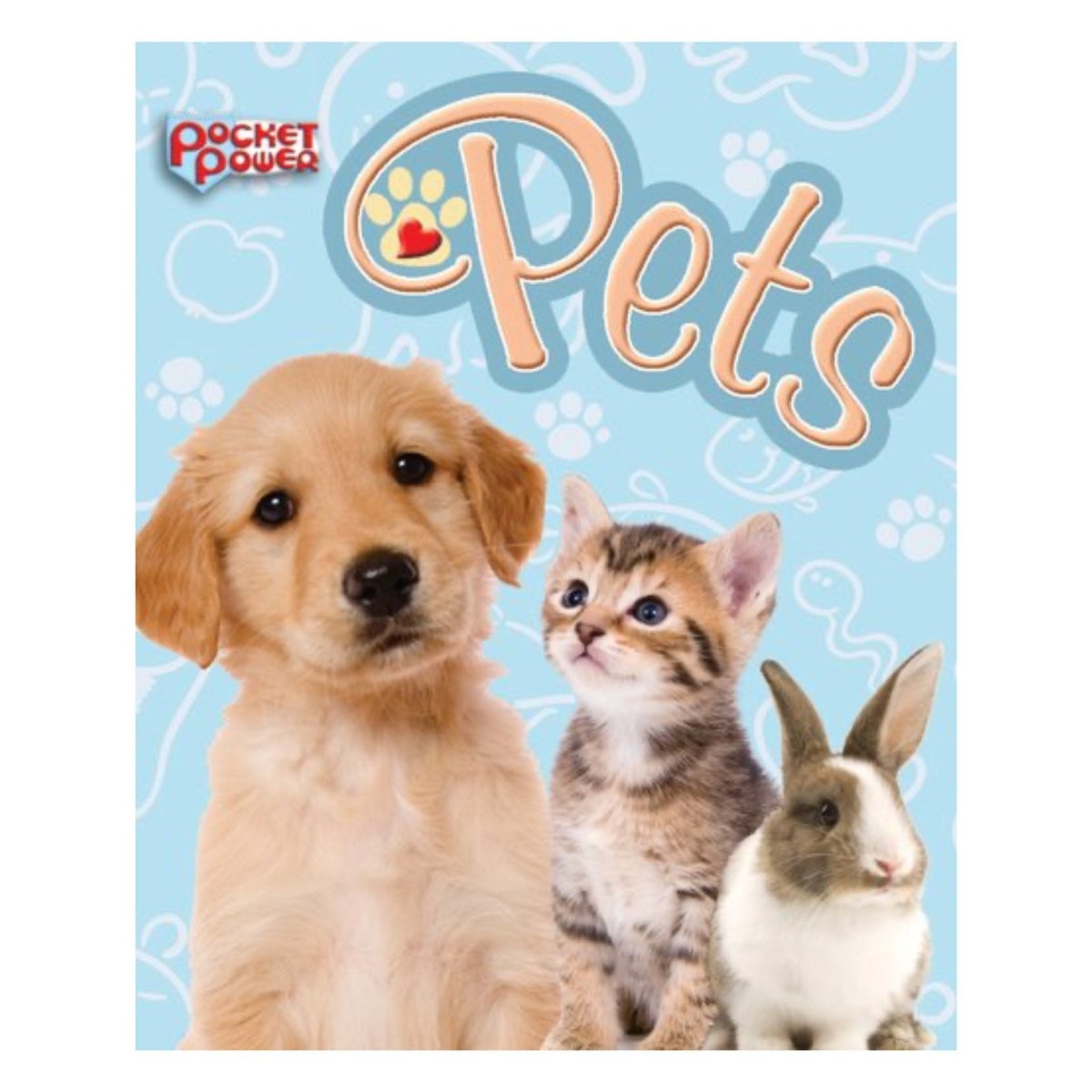 Pets Pocket Power Mini Activity Kit - Kids Party Craft