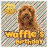 Waffle's Birthday Storybook - Kids Party Craft